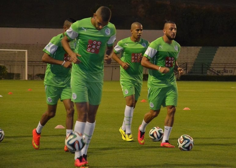 الشباك الدولي