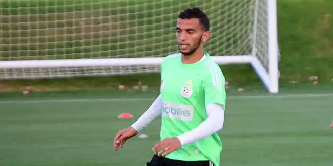 الشباك الدولي