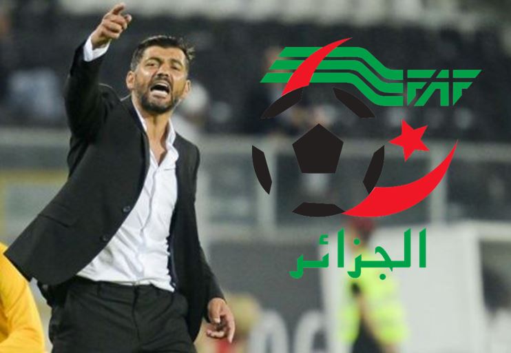 الشباك الدولي